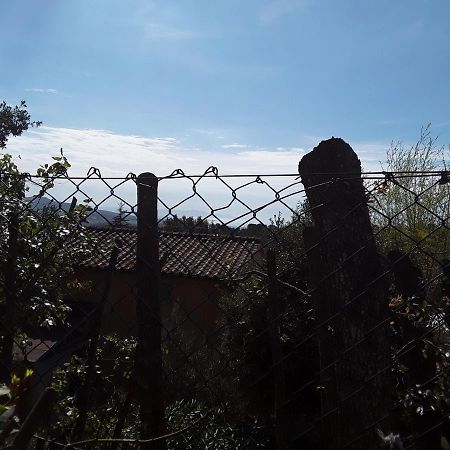 Villetta A Schiera Nei Pressi Del Mare Livorno Ngoại thất bức ảnh